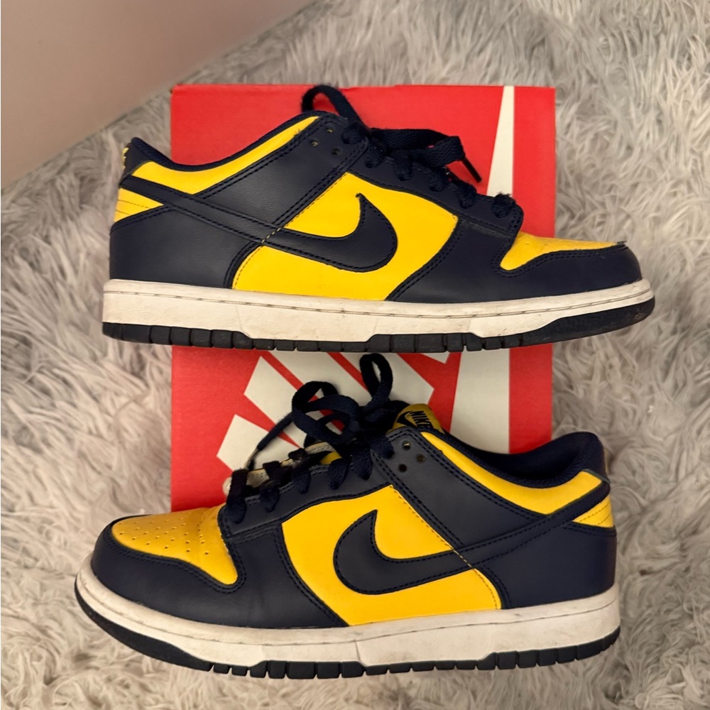Nike Dunk Low GS Michigan